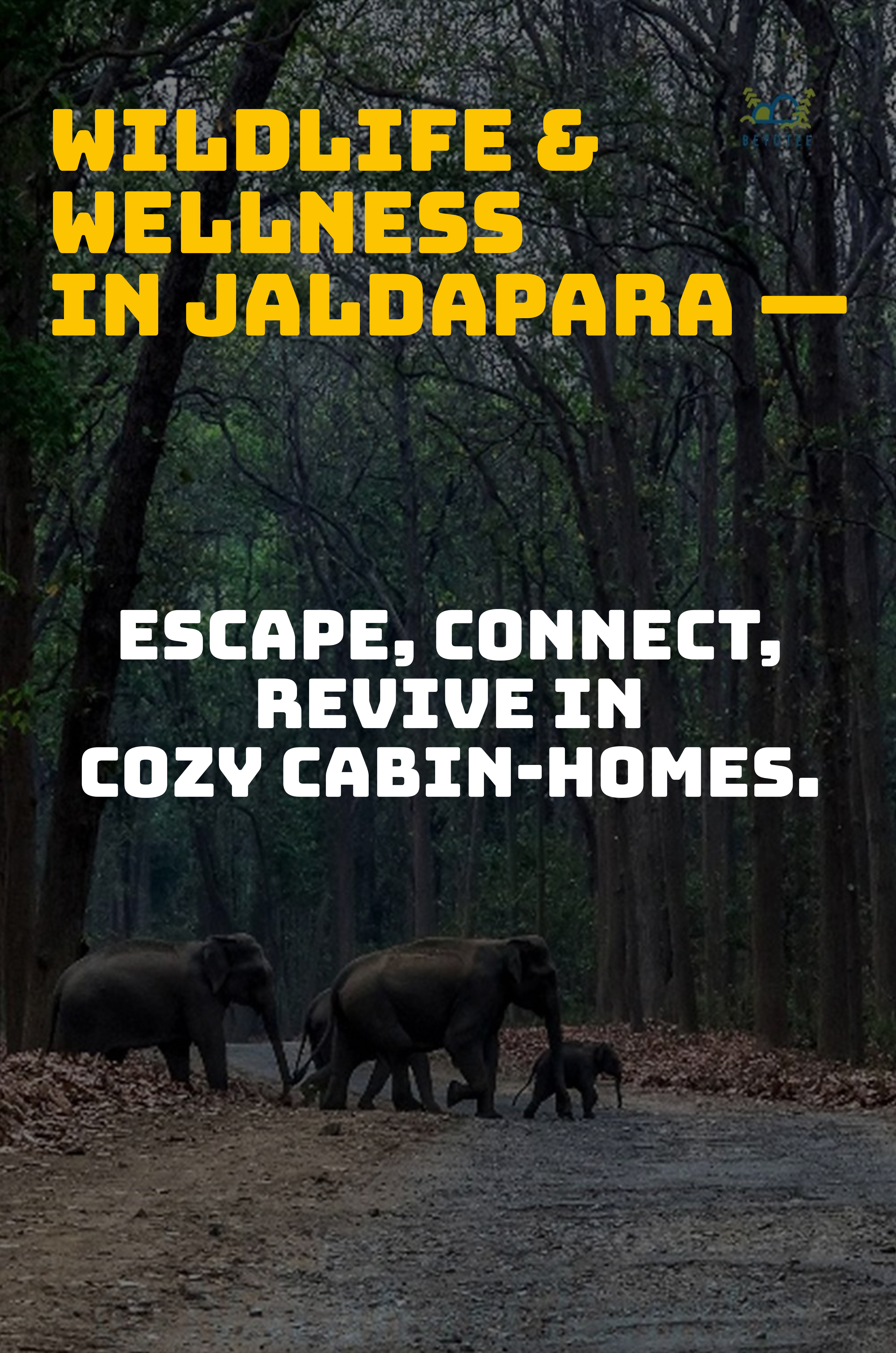 Handpicked Properties